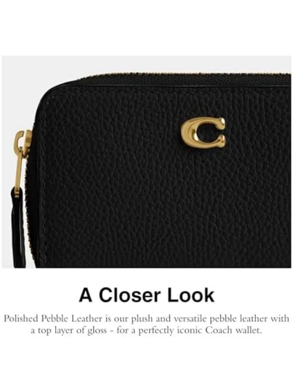 Essential Small Zip Around Card Case - Black, Compact Wallet, Stylish Organizer